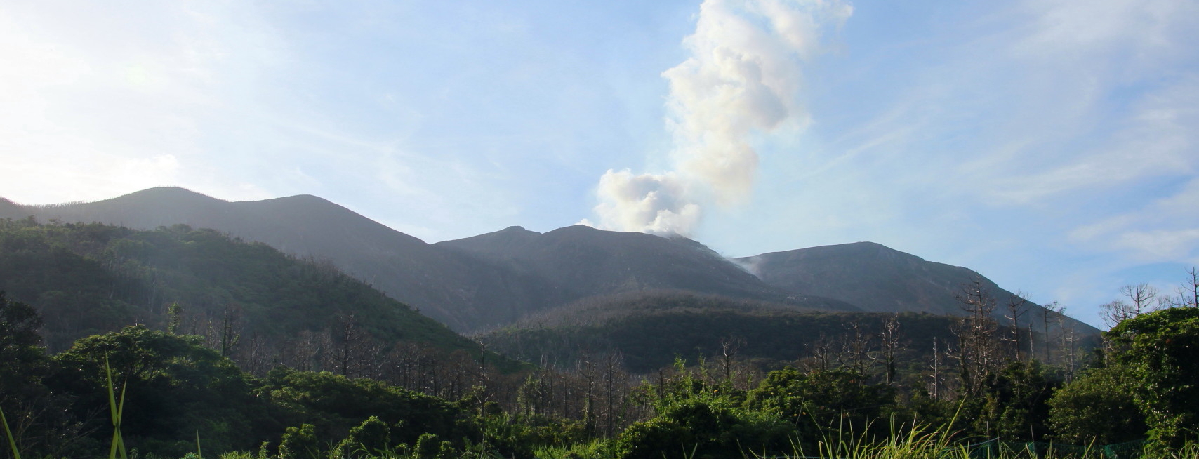 活火山の新岳は常に噴煙を上げています