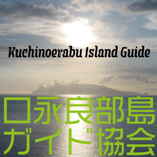 Kuchinoerabu Island Guide